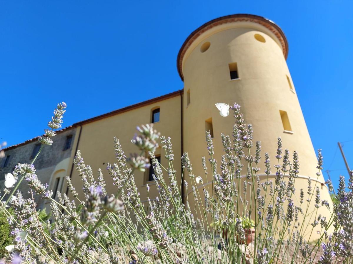 Fattoria La Campigliola Apartment Exterior photo